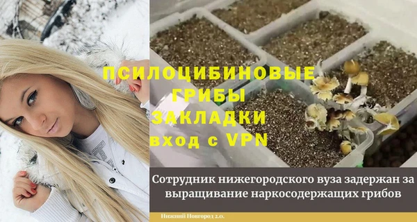 спайс Алексеевка
