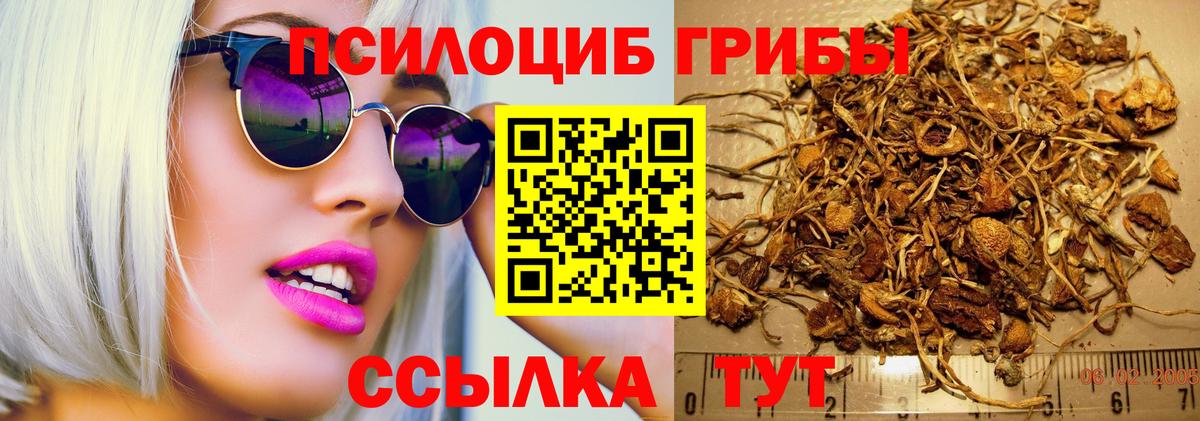 Псилоцибиновые грибы ЛСД  Вход с VPN  Салават  Псилоцибиновые грибы GOLDEN TEACHER 