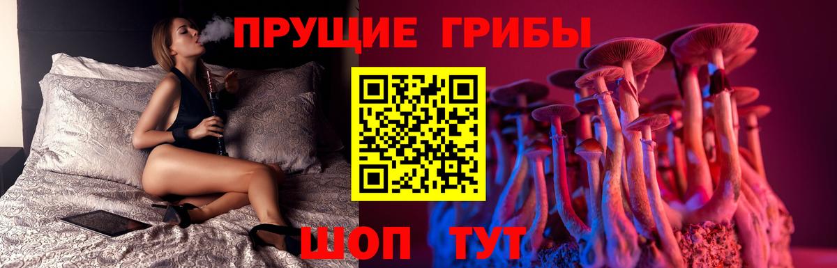 Псилоцибиновые грибы GOLDEN TEACHER Салават